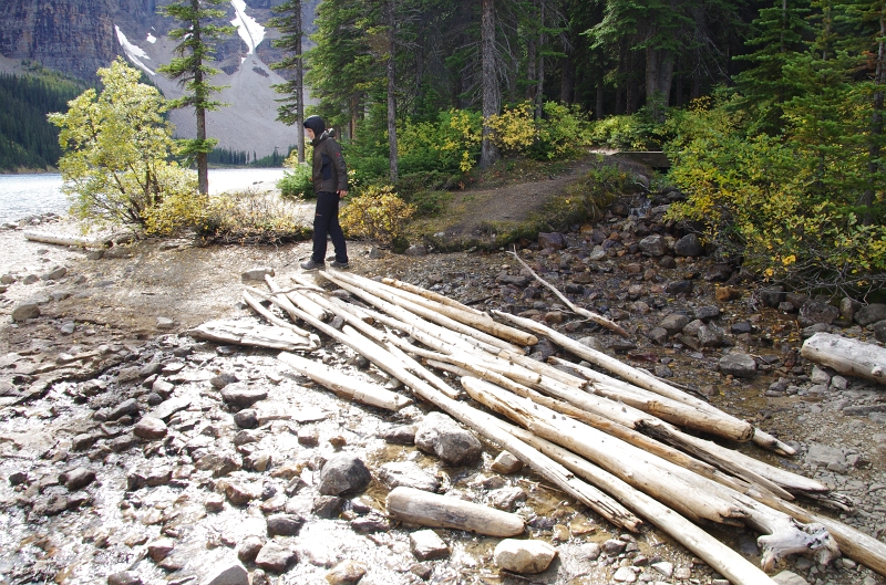 Banff NP 'Moraine  Lake Lakeshore' 16_09_2011 (35).JPG